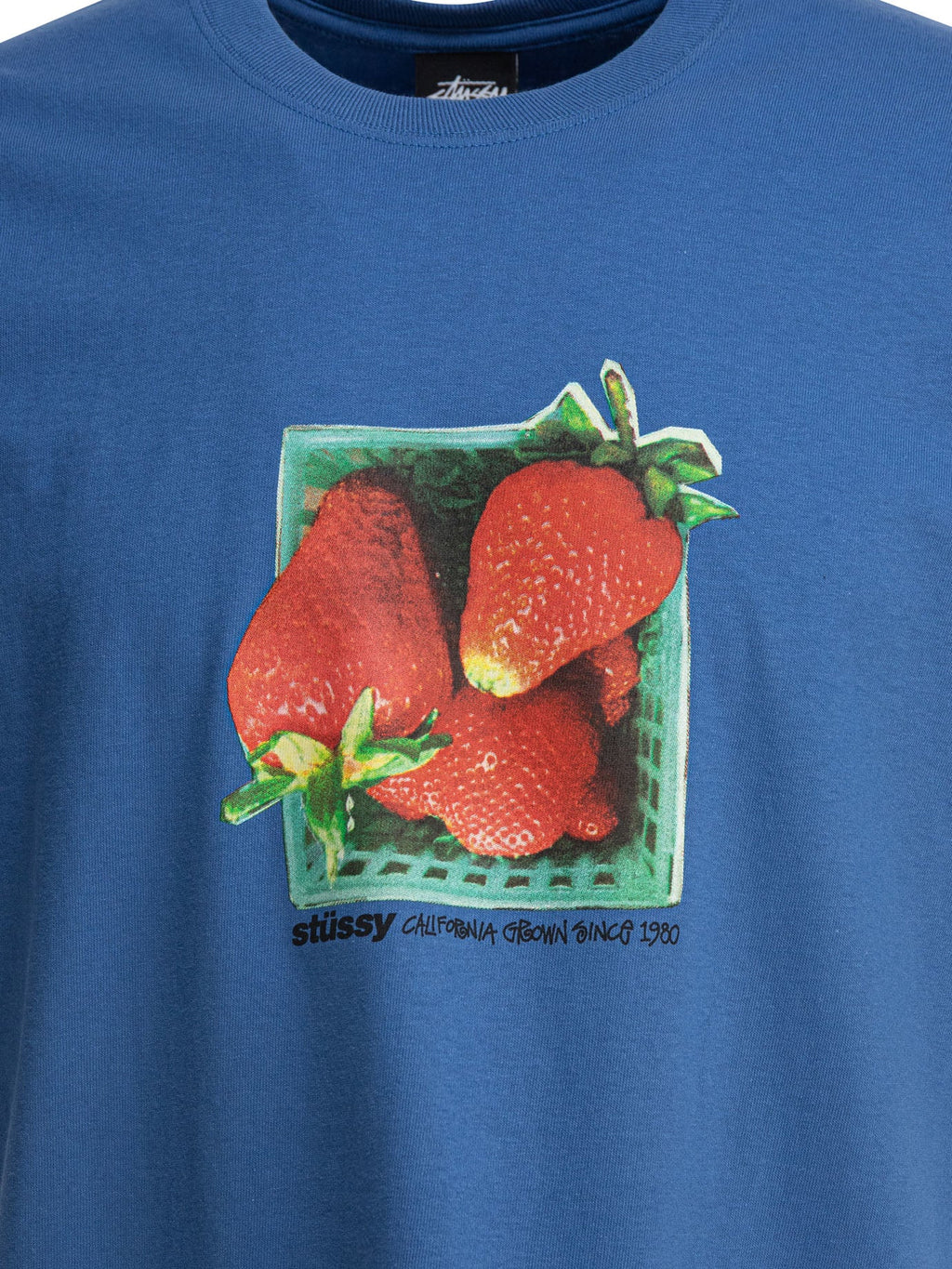 Stussy Berries Tee