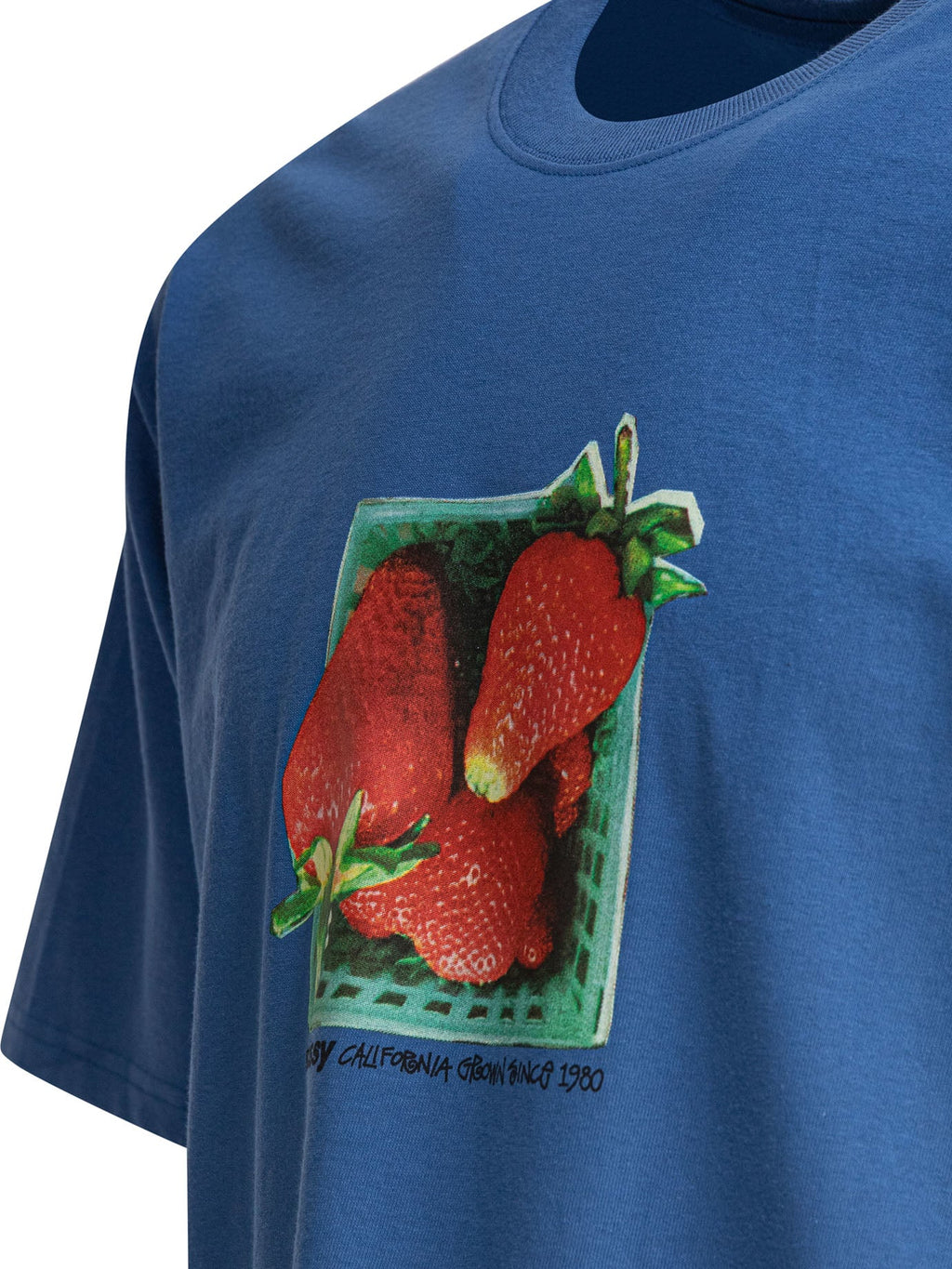 Stussy Berries Tee