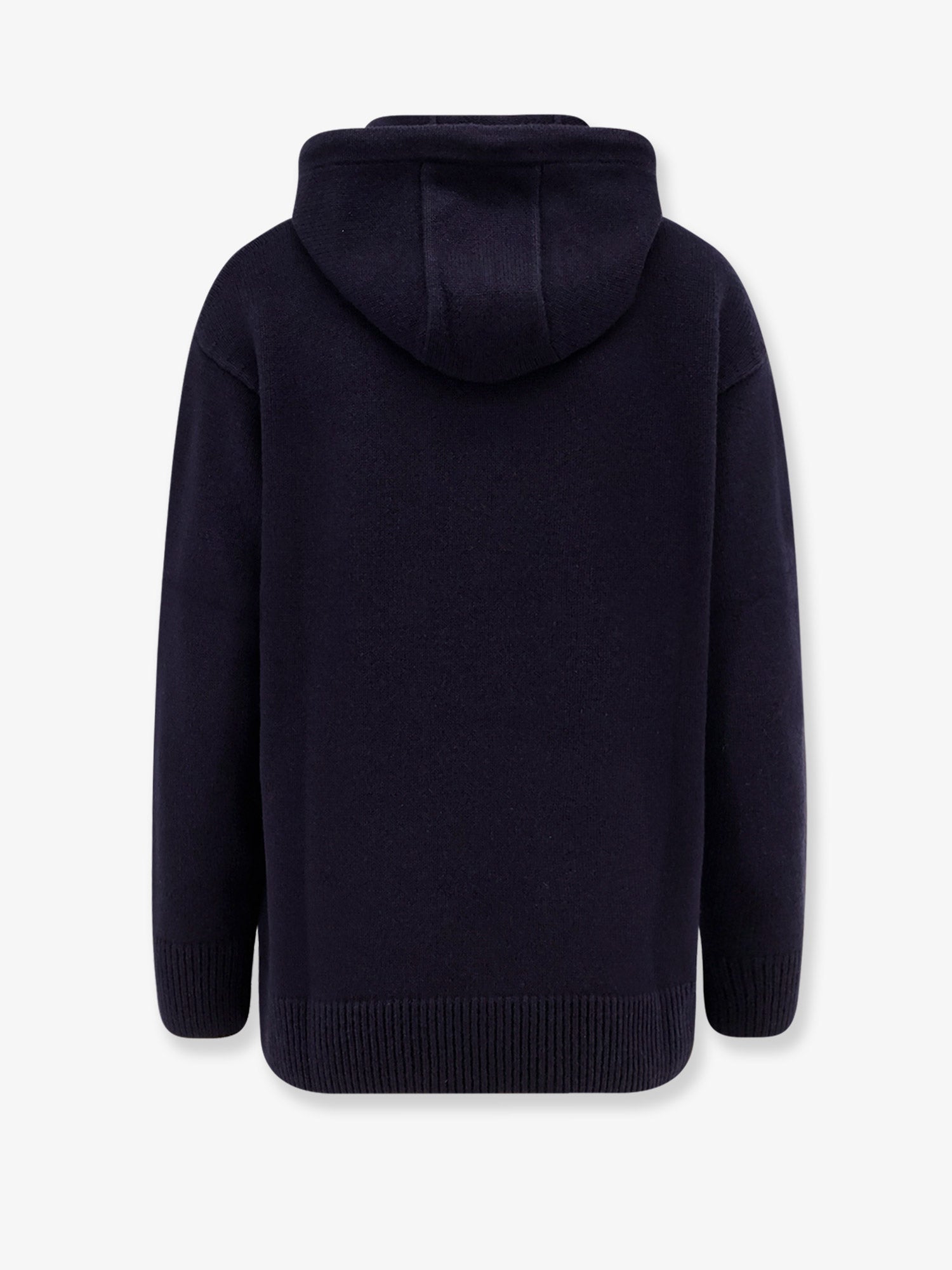 Max Mara Liana Cashmere And Wool Hooded Sweater