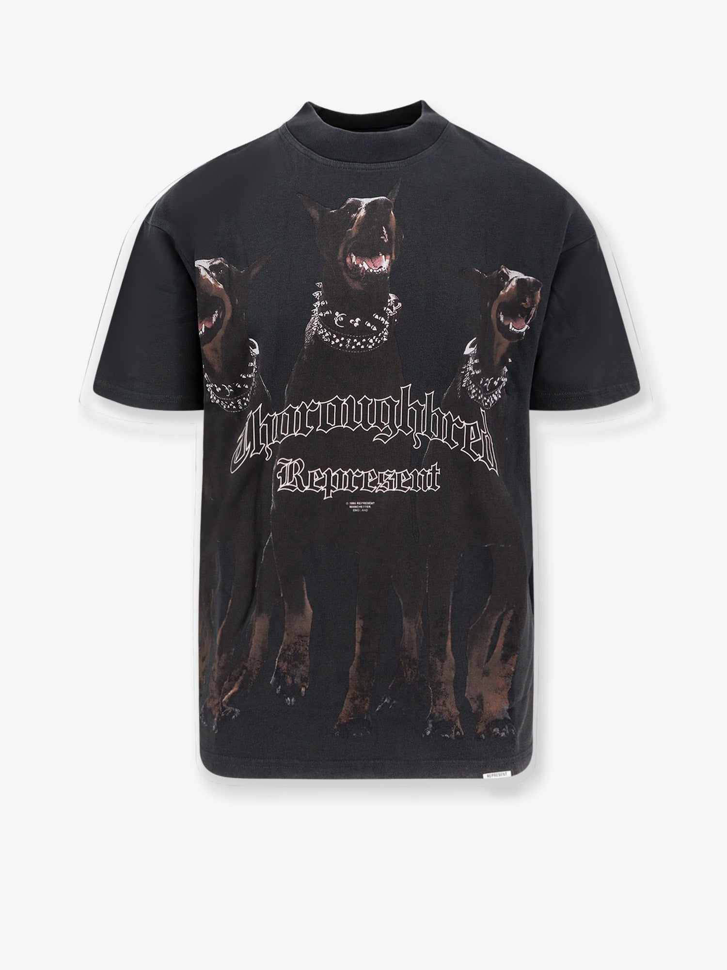 Represent Cotton T-Shirt