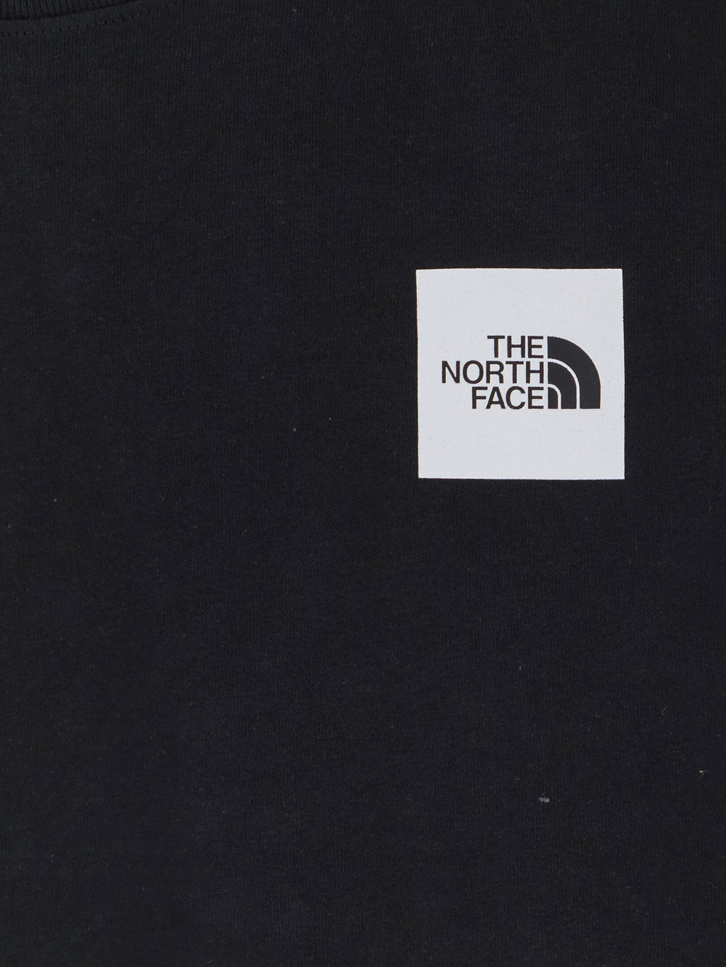 The North Face Cotton T-Shirt Logo On The Front
