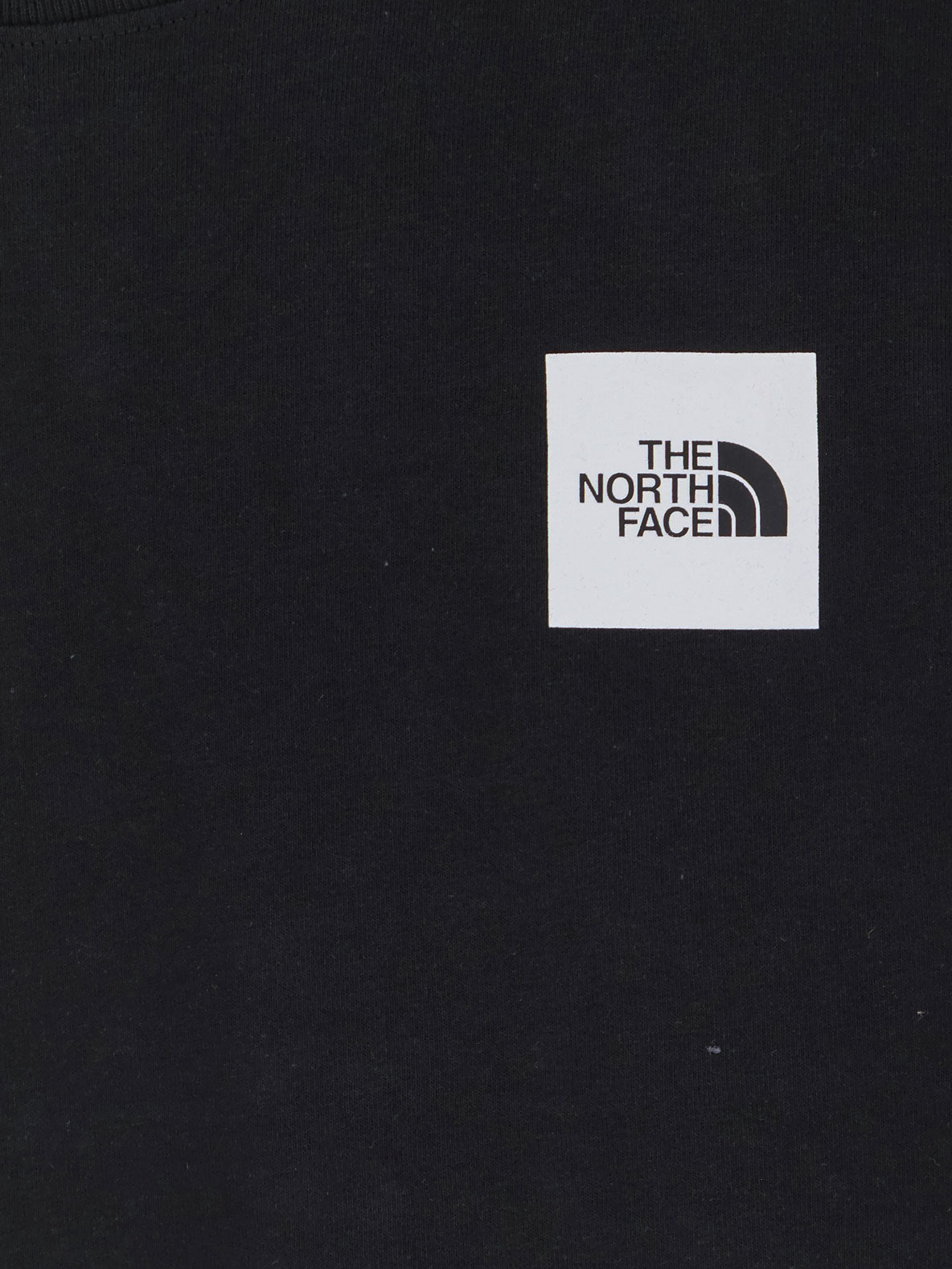 The North Face Cotton T-Shirt Logo On The Front