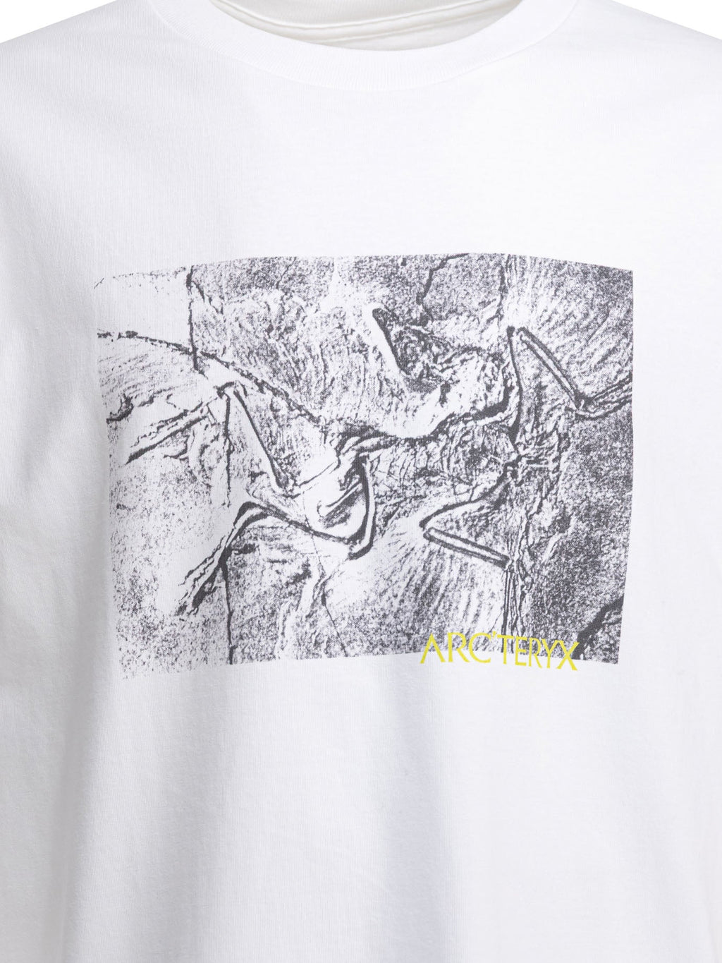 Arc'teryx "kragg Cotton Lithographica Ss" Crewneck T-shirt