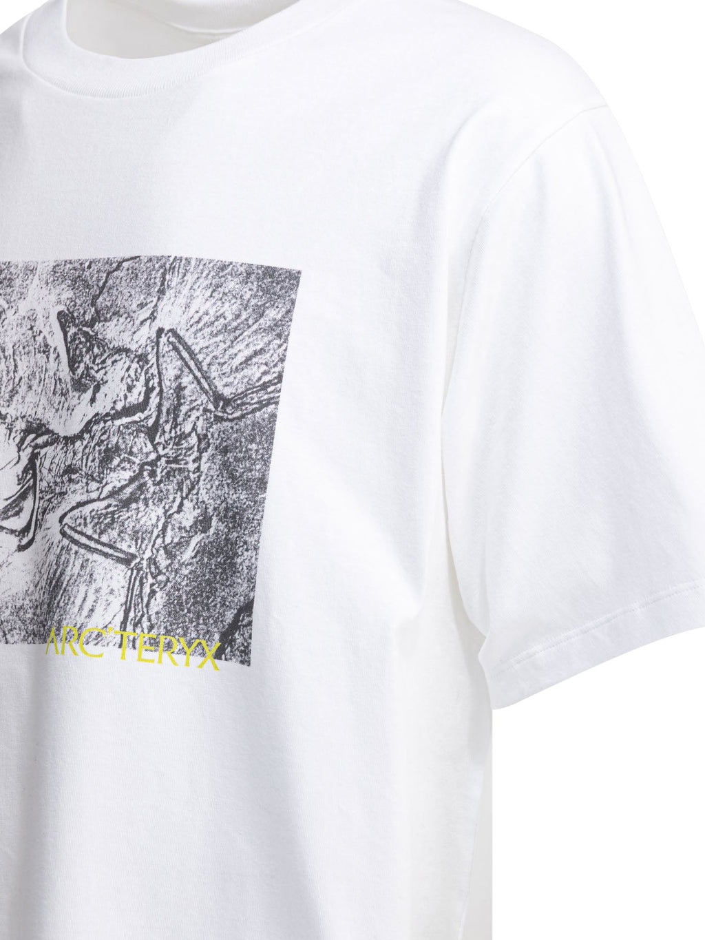 Arc'teryx "kragg Cotton Lithographica Ss" Crewneck T-shirt