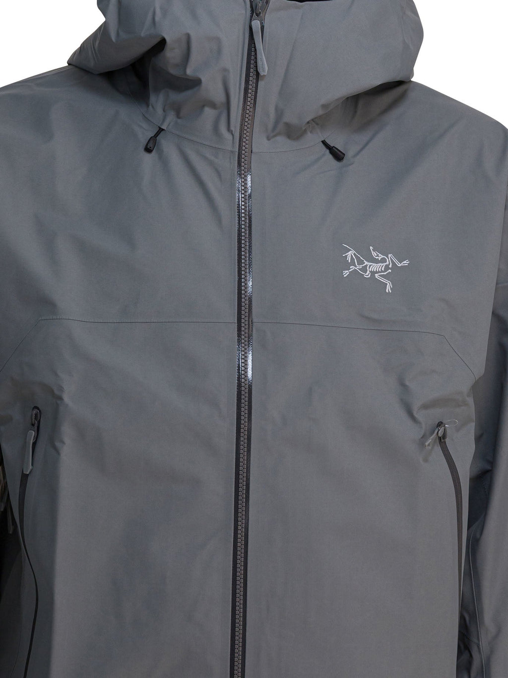 Arc'teryx "beta Sl" Technical Jacket
