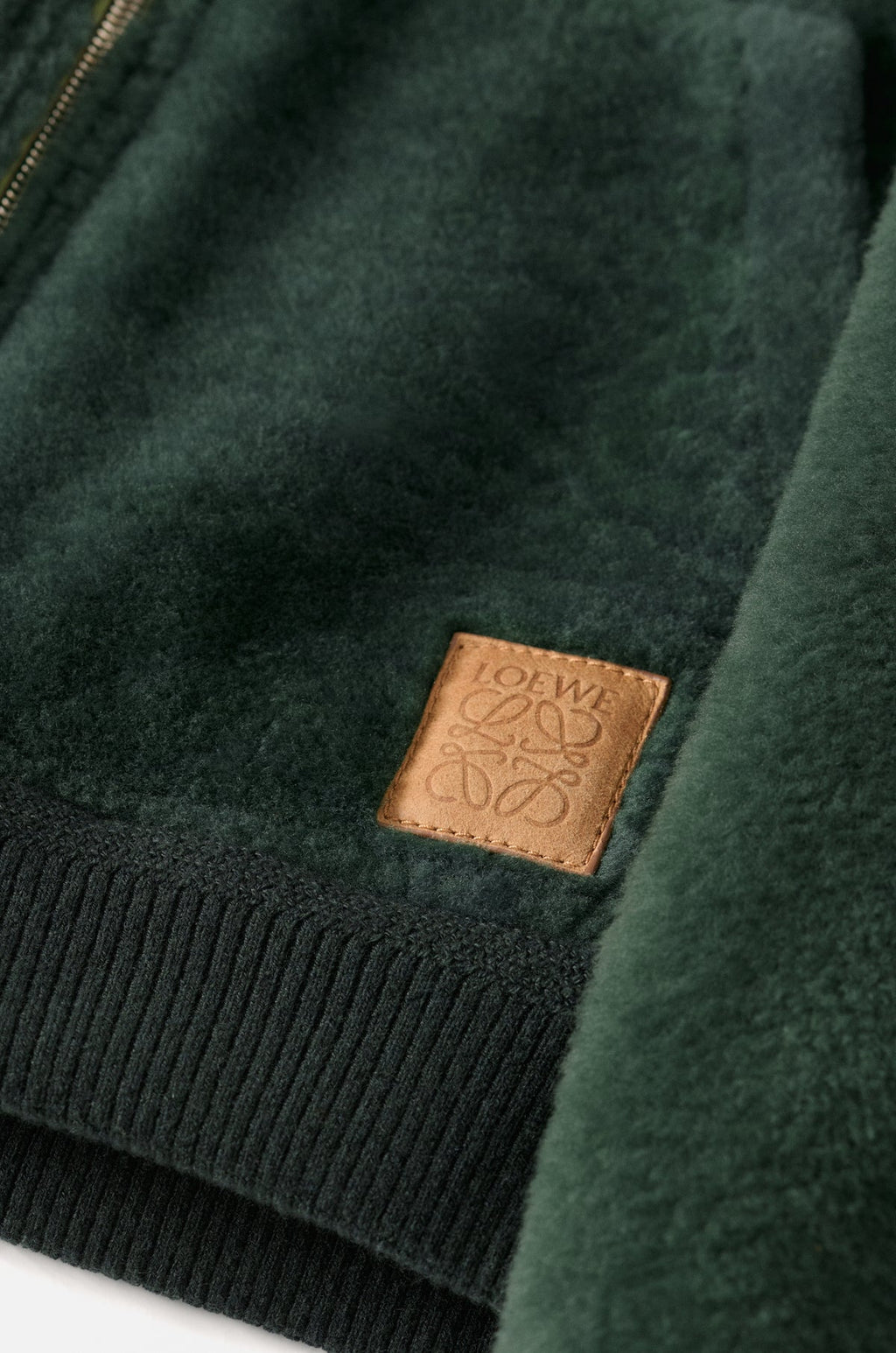 Loewe Hoodie Sweatshirt In Shearling
