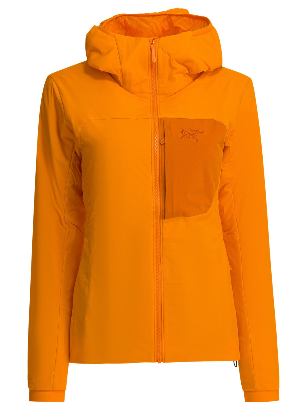 Arc'teryx "proton" Hoodie