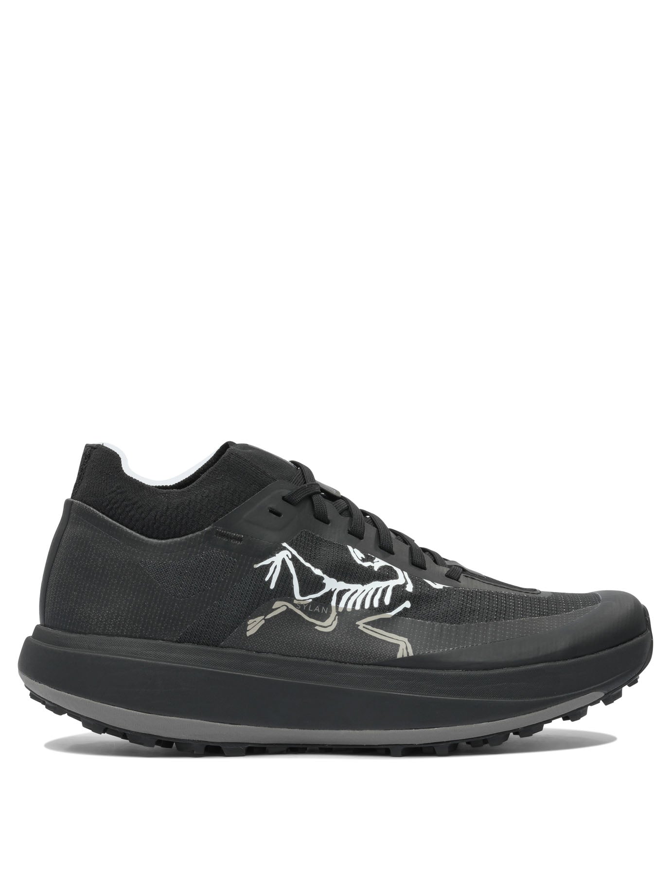 Arc'teryx Sneaker "sylan Pro"