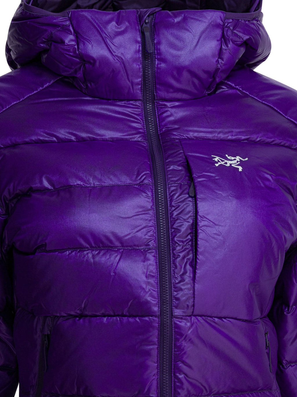 Arc'teryx "cerium Sv" Down Jacket