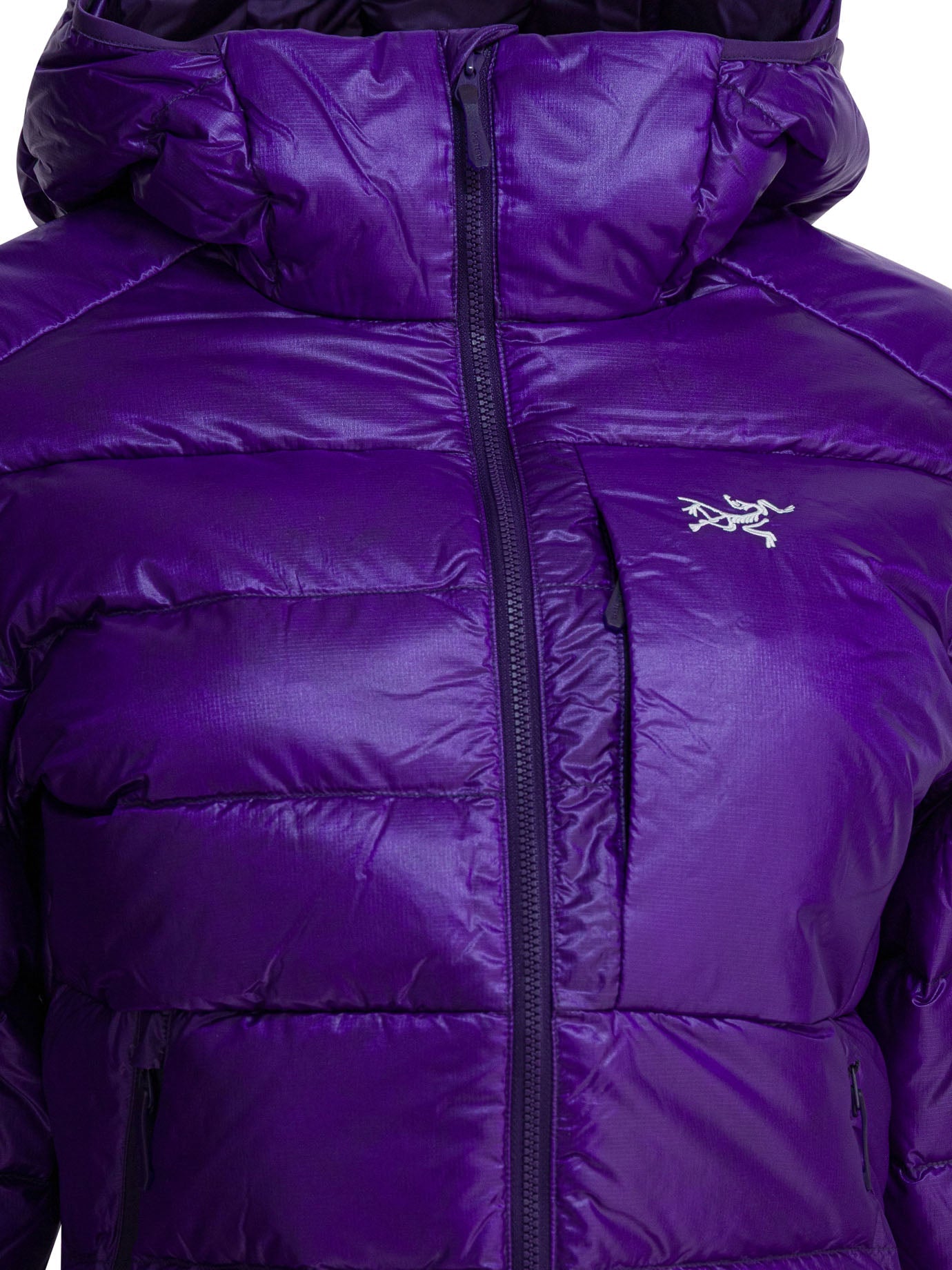 Arc'teryx "cerium Sv" Down Jacket