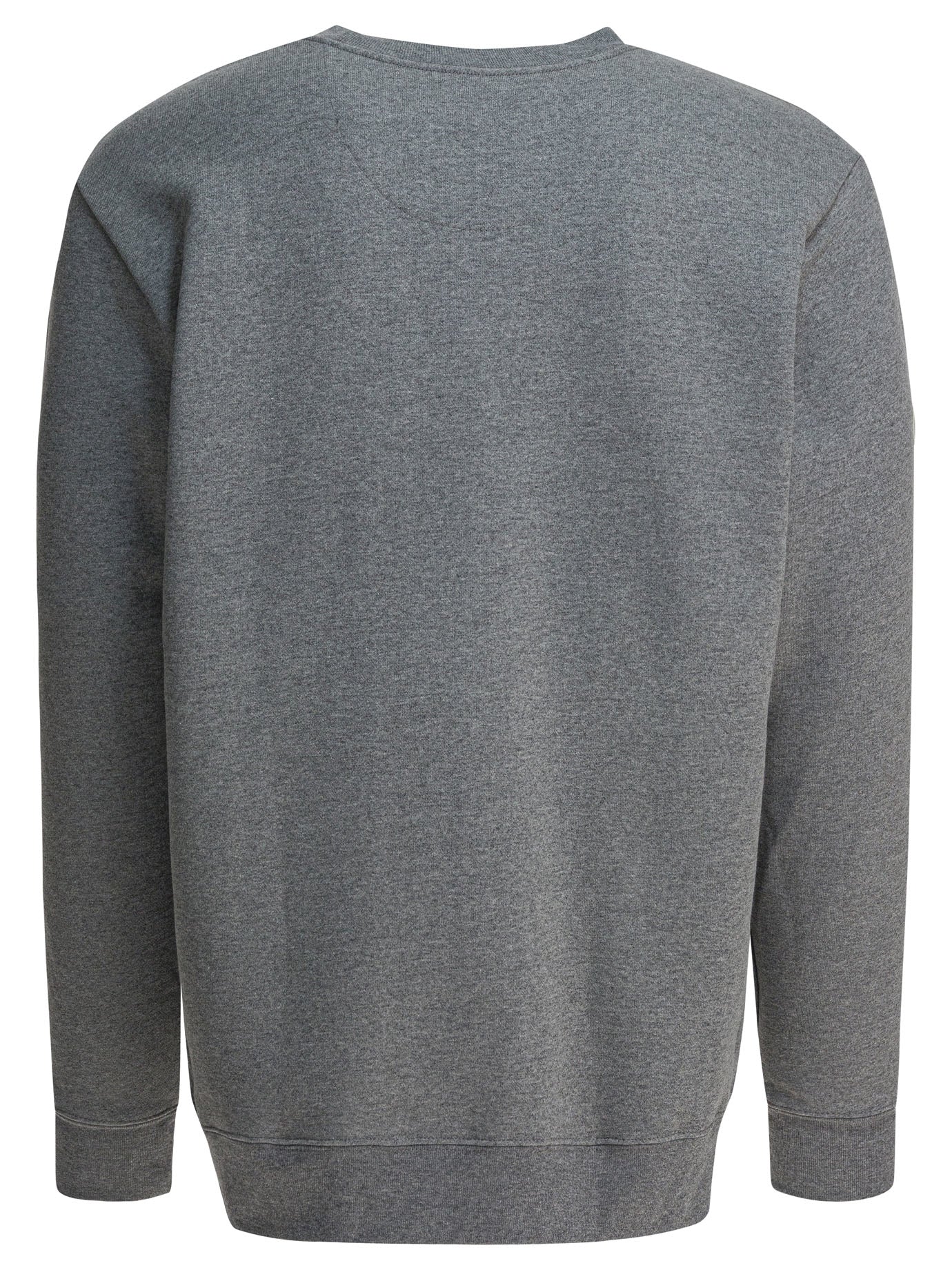 Patagonia "fitz Roy Icon Uprisal" Crewneck Sweatshirt